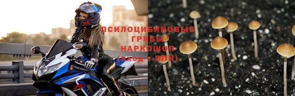 ECSTASY Белоозёрский
